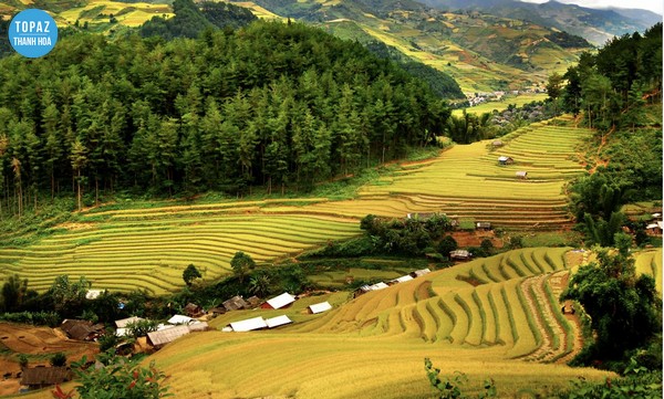 Hoà mình vào thiên nhiên hoang sơ với du lịch Pù Luông 2 ngày 1 đêm 