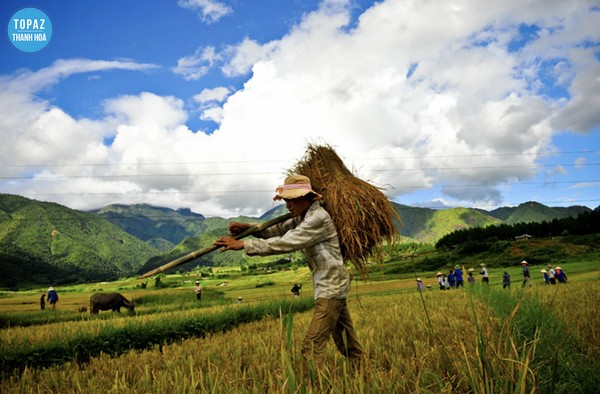 Thời điểm thích hợp để thăm hang Dơi Pù Luông