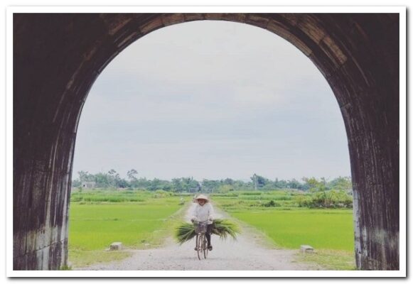 Hình ảnh Thành Nhà Hồ