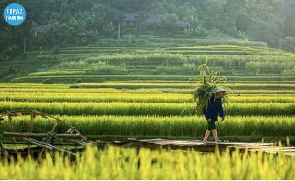 Hình ảnh bản Eo Kén mang nét đẹp như tranh