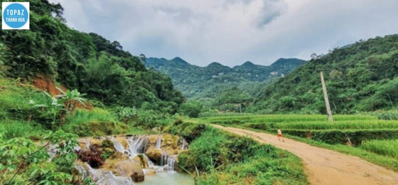 Hình ảnh khu bảo tồn thiên nhiên Pù Hu